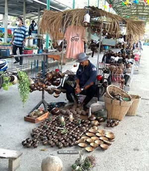 กะลามะพร้าว
