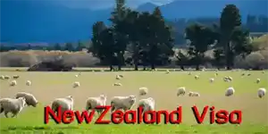apply for new zealand visa