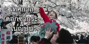 Sakura Flower Festival