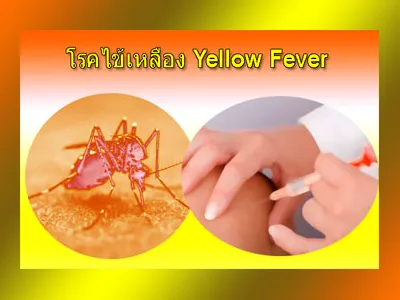 สมุดรับรองการฉีดวัคซีน