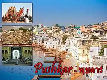 พุชคาร์ (Pushkar)