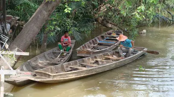 เรือพาย